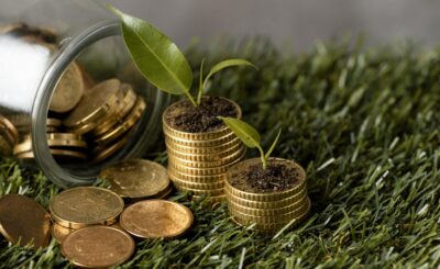 Pièces avec plantes pour symboliser la levée de fonds